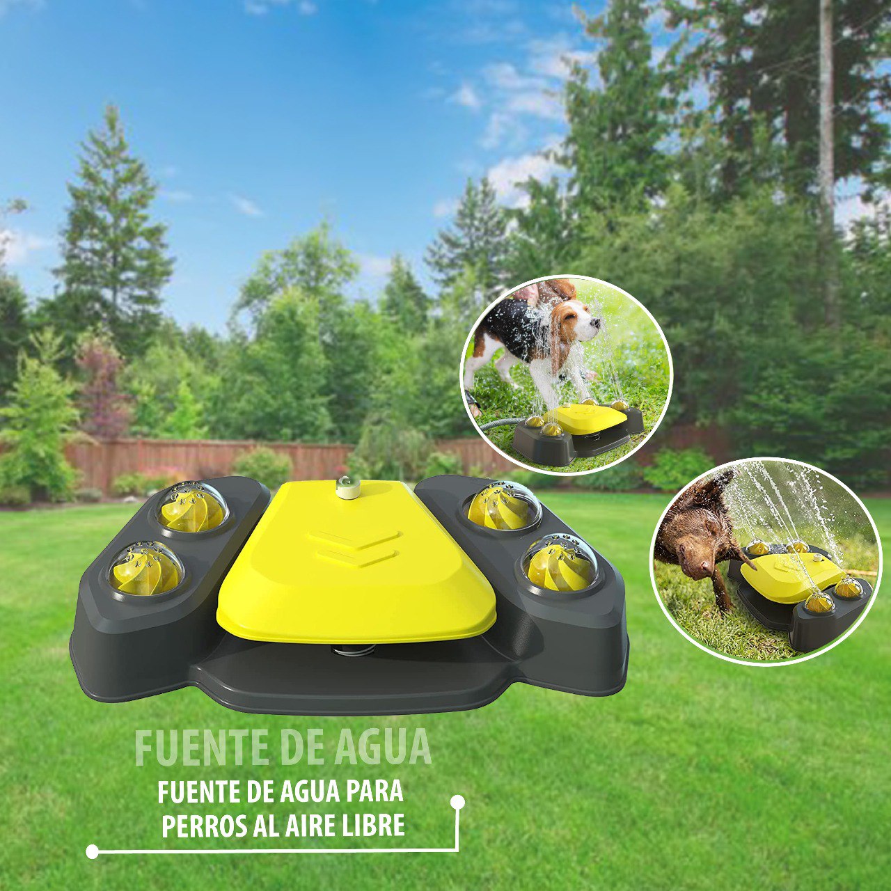 Fuente de agua para perros al aire libre