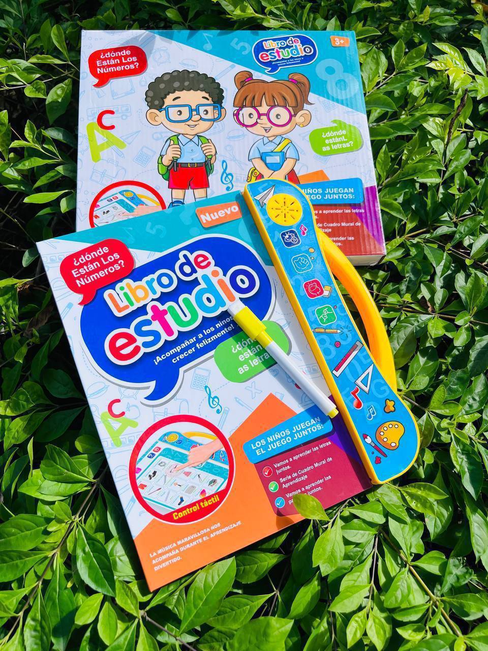 Libro Interactivo de Estimulación